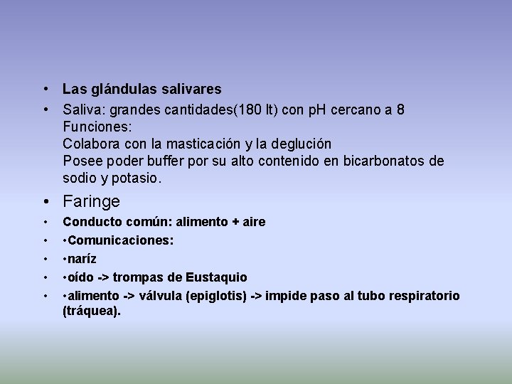  • Las glándulas salivares • Saliva: grandes cantidades(180 lt) con p. H cercano