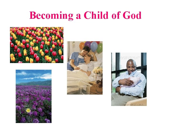 Becoming a Child of God 