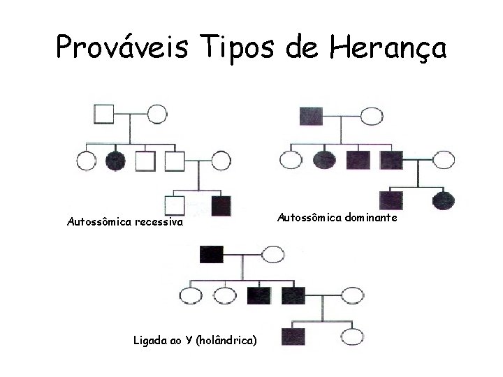 Prováveis Tipos de Herança Autossômica recessiva Ligada ao Y (holândrica) Autossômica dominante 