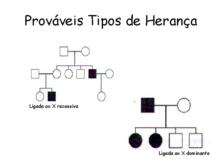 Prováveis Tipos de Herança Ligada ao X recessiva Ligada ao X dominante Prováveis Tipos de Herança Ligada ao X recessiva Ligada ao X dominante
