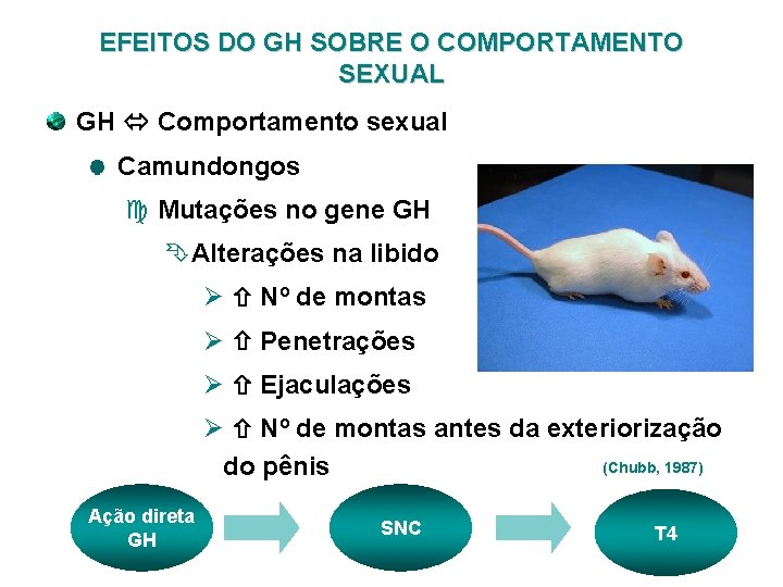 EFEITOS DO GH SOBRE O COMPORTAMENTO SEXUAL GH Comportamento sexual Camundongos c Mutações no