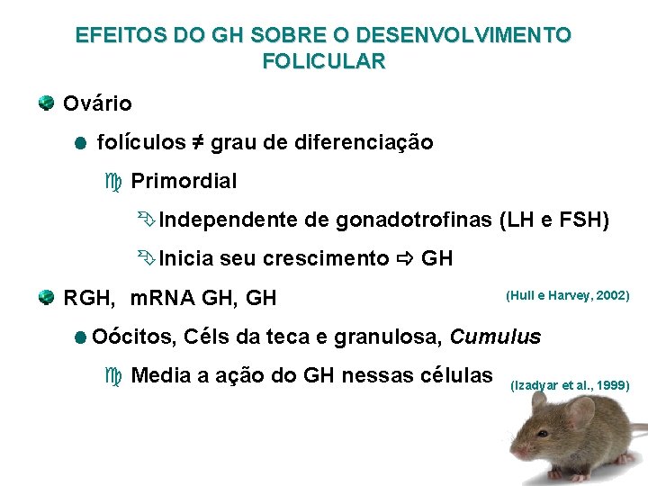 EFEITOS DO GH SOBRE O DESENVOLVIMENTO FOLICULAR Ovário folículos ≠ grau de diferenciação c