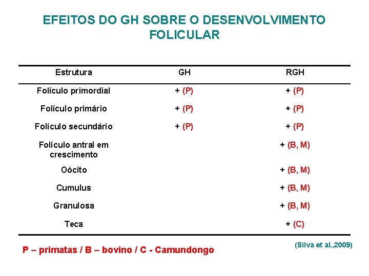 EFEITOS DO GH SOBRE O DESENVOLVIMENTO FOLICULAR Estrutura GH RGH Folículo primordial + (P)