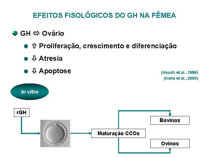 EFEITOS FISOLÓGICOS DO GH NA FÊMEA GH Ovário Proliferação, crescimento e diferenciação Atresia Apoptose