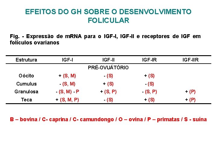 EFEITOS DO GH SOBRE O DESENVOLVIMENTO FOLICULAR Fig. - Expressão de m. RNA para