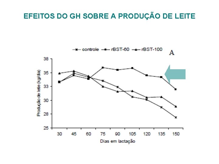 EFEITOS DO GH SOBRE A PRODUÇÃO DE LEITE 