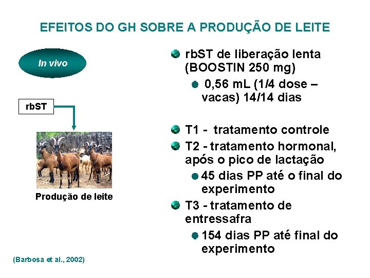 EFEITOS DO GH SOBRE A PRODUÇÃO DE LEITE In vivo rb. ST Produção de