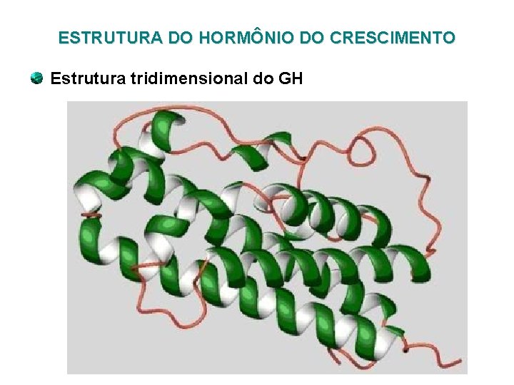 ESTRUTURA DO HORMÔNIO DO CRESCIMENTO Estrutura tridimensional do GH 