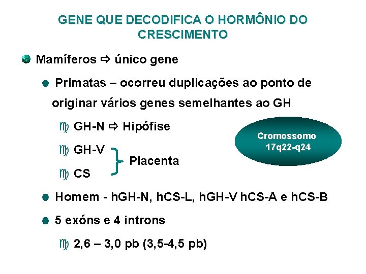 GENE QUE DECODIFICA O HORMÔNIO DO CRESCIMENTO Mamíferos único gene Primatas – ocorreu duplicações