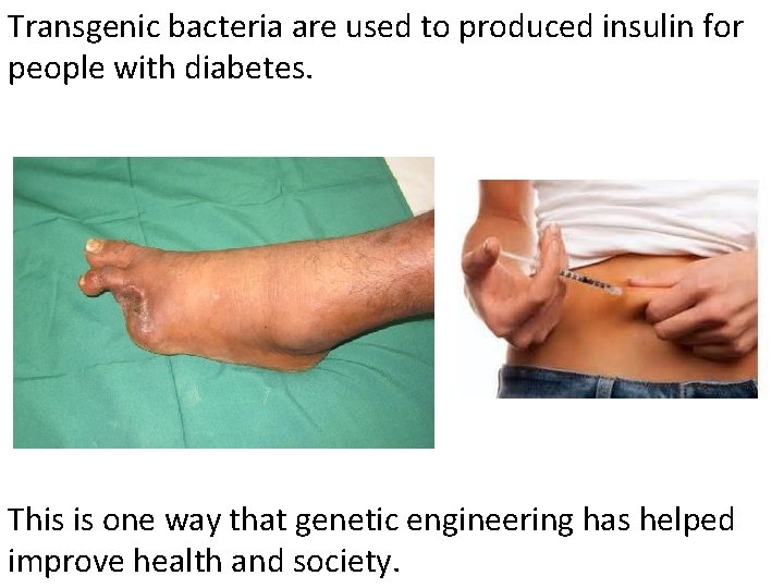 Transgenic bacteria are used to produced insulin for people with diabetes. This is one