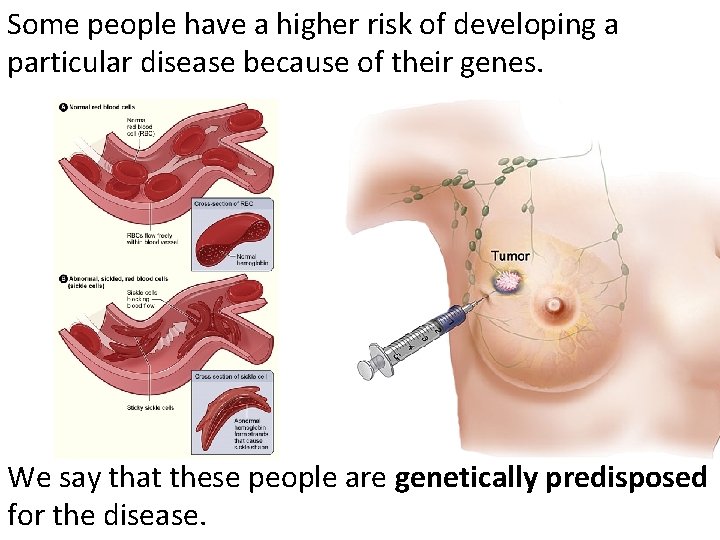 Some people have a higher risk of developing a particular disease because of their