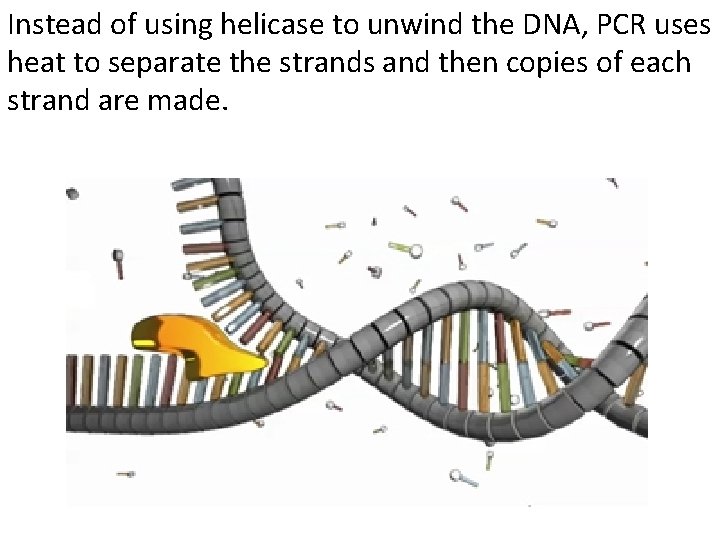 Instead of using helicase to unwind the DNA, PCR uses heat to separate the