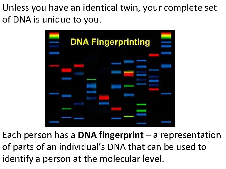 Unless you have an identical twin, your complete set of DNA is unique to
