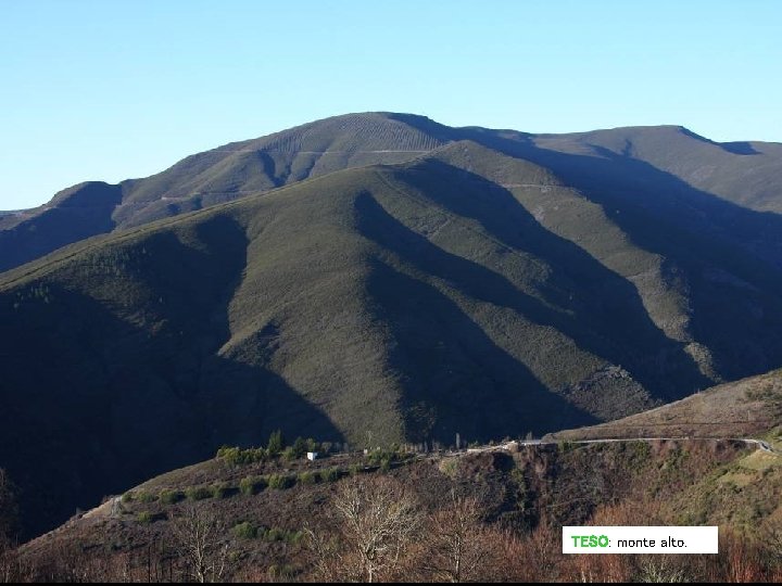 TESO: monte alto. TESO: monte alto.