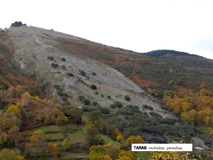 TARAS: rochedos, penedías. TARAS: rochedos, penedías.