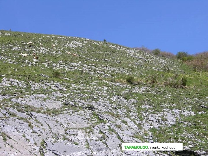 TARAMOUCO: monte rochoso. TARAMOUCO: monte rochoso.
