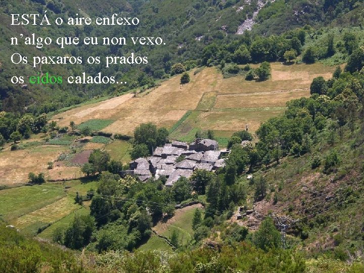 ESTÁ o aire enfexo n’algo que eu non vexo. Os paxaros os prados os ESTÁ o aire enfexo n’algo que eu non vexo. Os paxaros os prados os