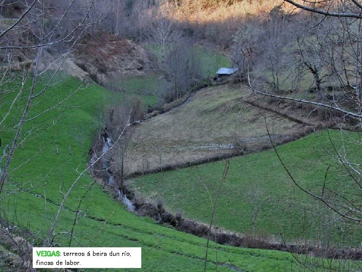 VEIGAS: terreos á beira dun río, fincas de labor. VEIGAS: terreos á beira dun río, fincas de labor.