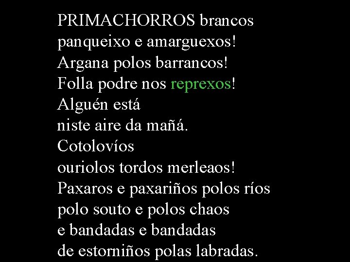 PRIMACHORROS brancos panqueixo e amarguexos! Argana polos barrancos! Folla podre nos reprexos! Alguén está PRIMACHORROS brancos panqueixo e amarguexos! Argana polos barrancos! Folla podre nos reprexos! Alguén está