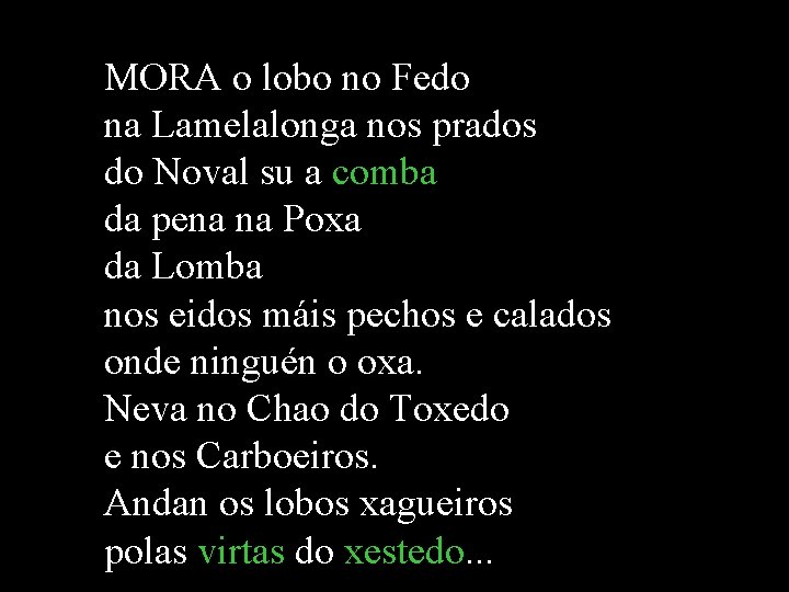 MORA o lobo no Fedo na Lamelalonga nos prados do Noval su a comba MORA o lobo no Fedo na Lamelalonga nos prados do Noval su a comba