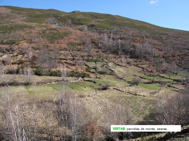 VIRTAS: parcelas de monte, searas. VIRTAS: parcelas de monte, searas.