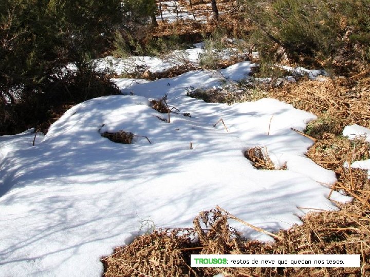 TROUSOS: restos de neve quedan nos tesos. TROUSOS: restos de neve quedan nos tesos.