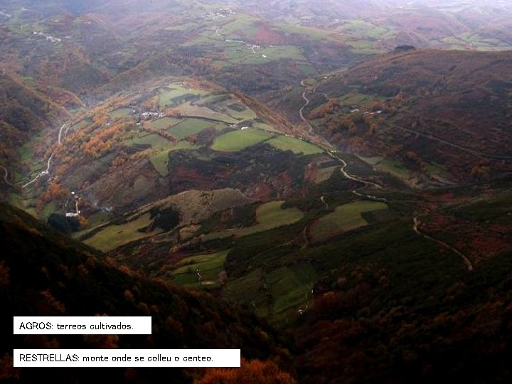 AGROS: terreos cultivados. RESTRELLAS: monte onde se colleu o centeo. AGROS: terreos cultivados. RESTRELLAS: monte onde se colleu o centeo.