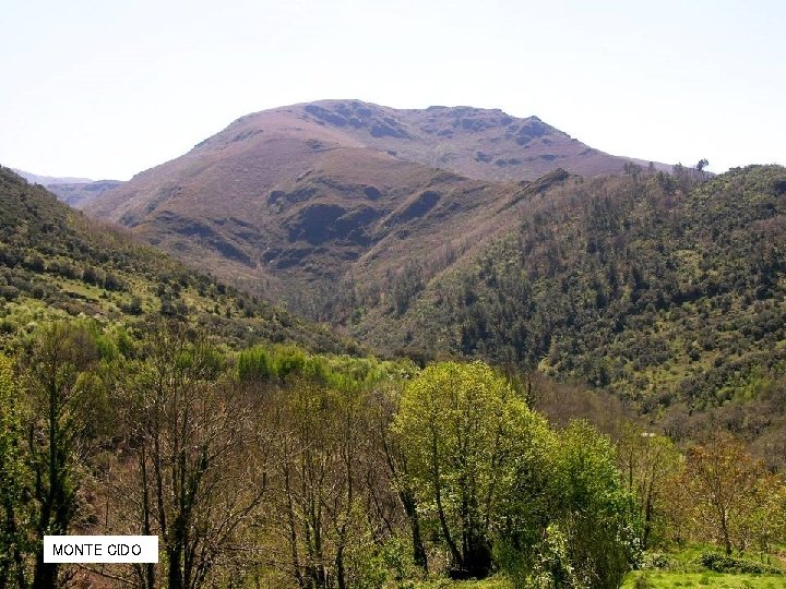 MONTE CIDO MONTE CIDO
