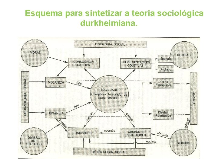 Esquema para sintetizar a teoria sociológica durkheimiana. 