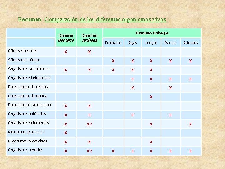 Resumen. Comparación de los diferentes organismos vivos Domino Bacteria Dominio Eukarya Dominio Archaea Protozoos
