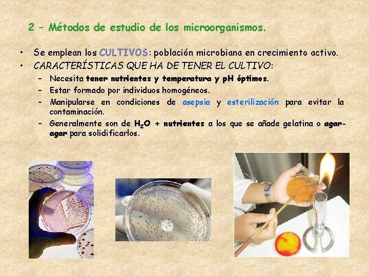 2 – Métodos de estudio de los microorganismos. • • Se emplean los CULTIVOS: