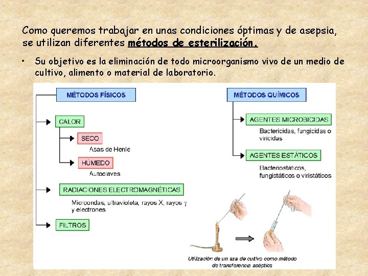 Como queremos trabajar en unas condiciones óptimas y de asepsia, se utilizan diferentes métodos