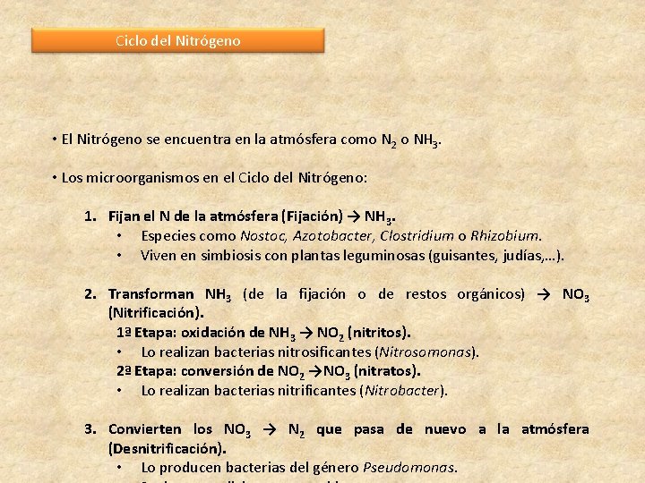 Ciclo del Nitrógeno • El Nitrógeno se encuentra en la atmósfera como N 2