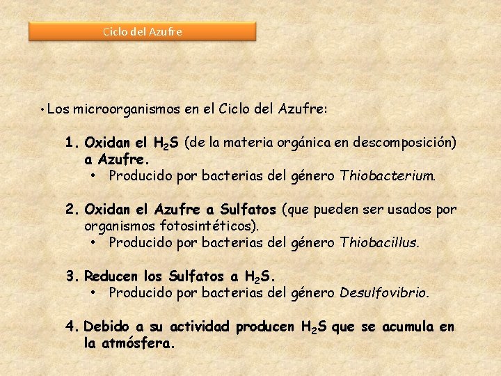 Ciclo del Azufre • Los microorganismos en el Ciclo del Azufre: 1. Oxidan el