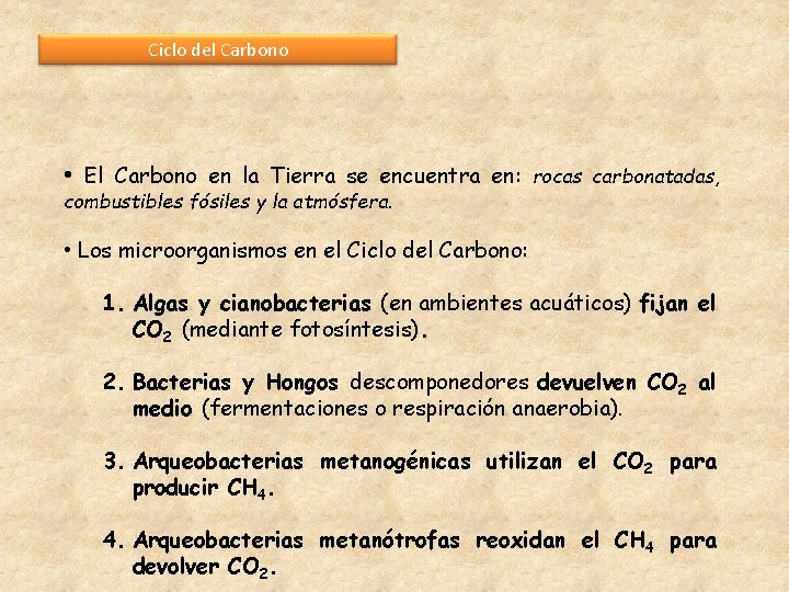 Ciclo del Carbono • El Carbono en la Tierra se encuentra en: combustibles fósiles