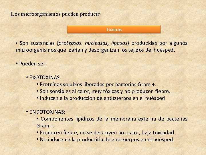 Los microorganismos pueden producir Toxinas • Son sustancias (proteasas, nucleasas, lipasas) producidas por algunos