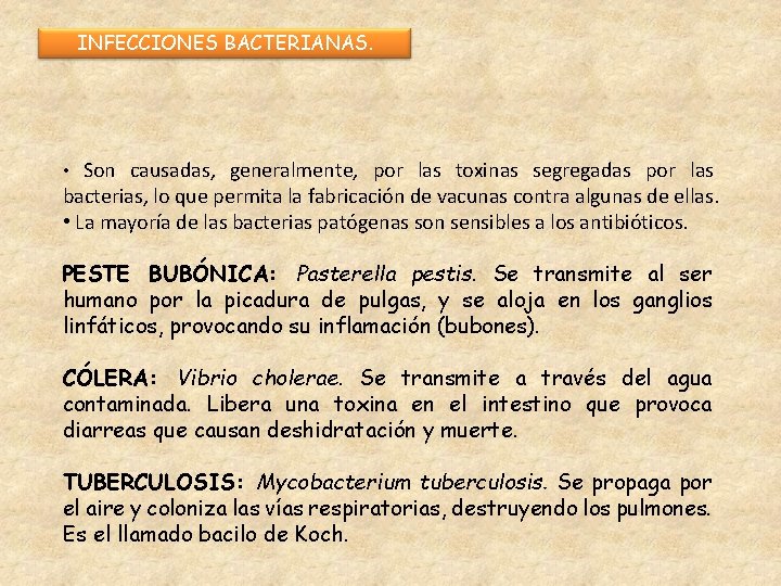 INFECCIONES BACTERIANAS. • Son causadas, generalmente, por las toxinas segregadas por las bacterias, lo