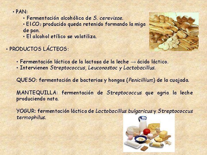  • PAN: • Fermentación alcohólica de S. cerevisae. • El CO 2 producido