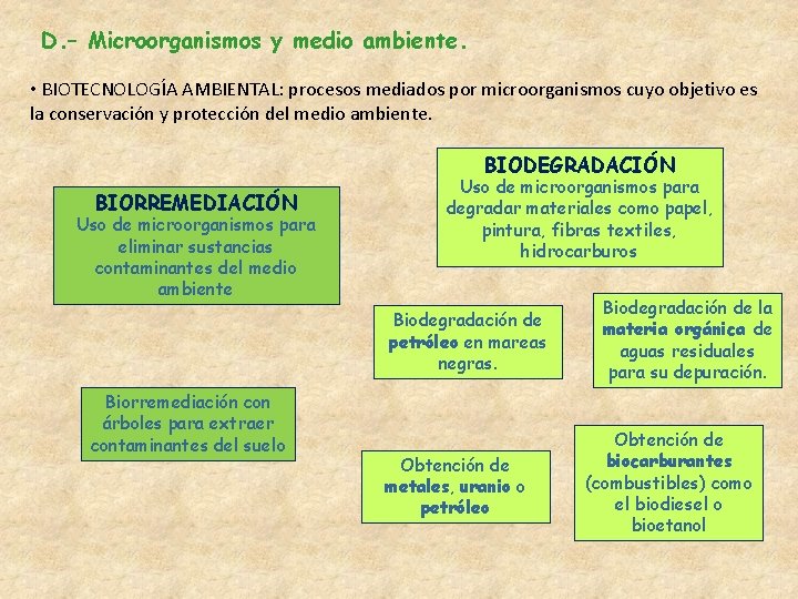 D. – Microorganismos y medio ambiente. • BIOTECNOLOGÍA AMBIENTAL: procesos mediados por microorganismos cuyo