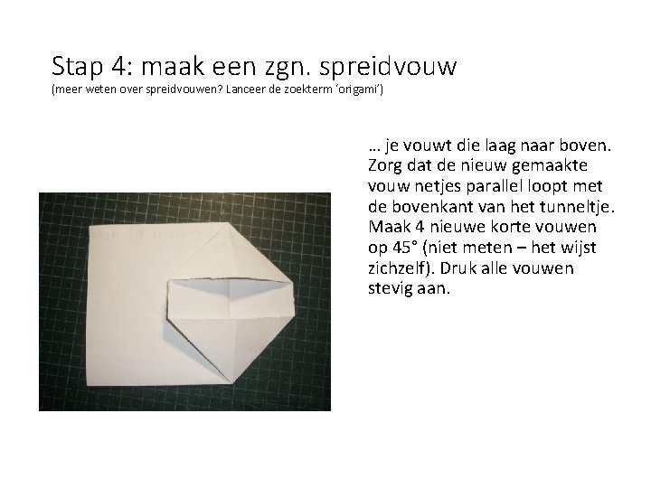 Stap 4: maak een zgn. spreidvouw (meer weten over spreidvouwen? Lanceer de zoekterm ‘origami’)