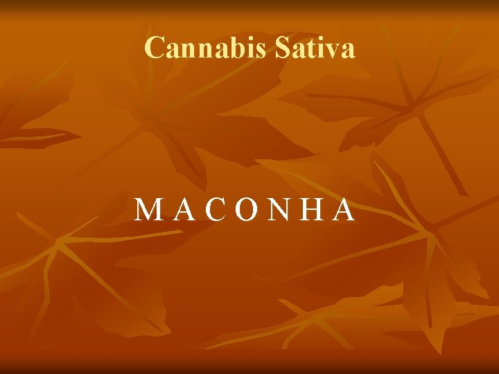 Cannabis Sativa M A C O N H A 