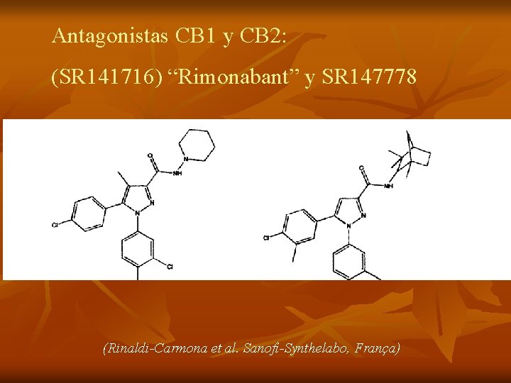 Antagonistas CB 1 y CB 2: (SR 141716) “Rimonabant” y SR 147778 (Rinaldi-Carmona et