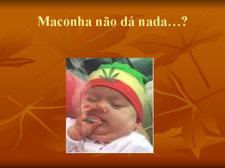 Maconha não dá nada…? 