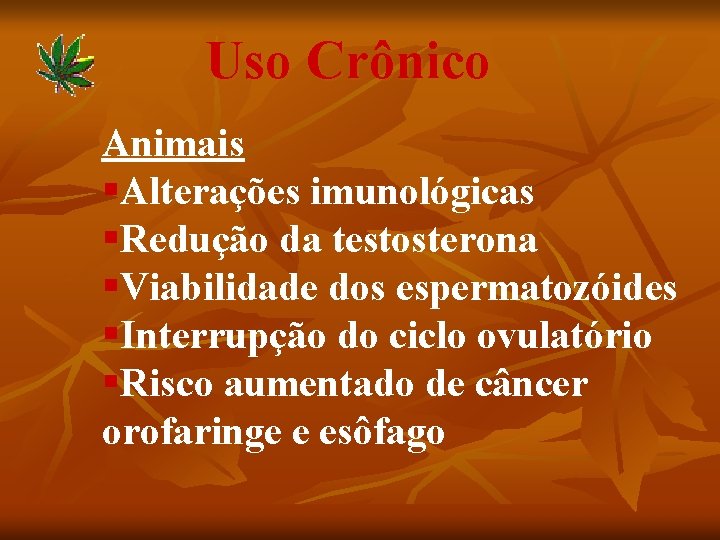 Uso Crônico Animais §Alterações imunológicas §Redução da testosterona §Viabilidade dos espermatozóides §Interrupção do ciclo