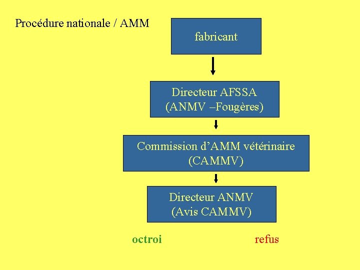 Procédure nationale / AMM fabricant Directeur AFSSA (ANMV –Fougères) Commission d’AMM vétérinaire (CAMMV) Directeur