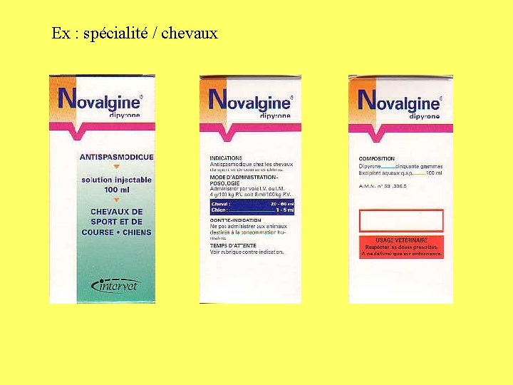 Ex : spécialité / chevaux 