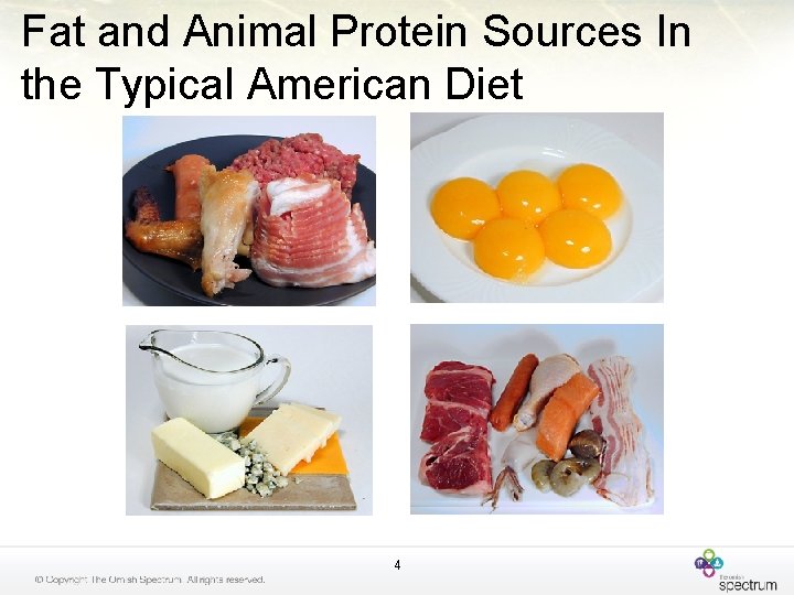 Fat and Animal Protein Sources In the Typical American Diet 4 