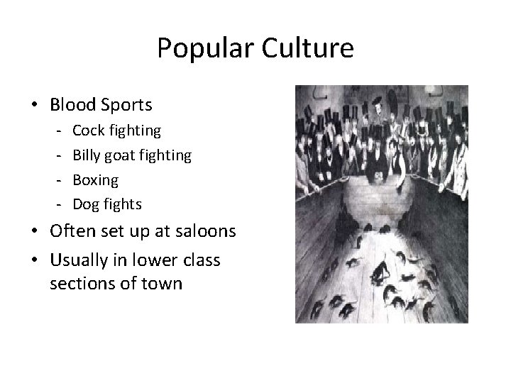 Popular Culture • Blood Sports - Cock fighting Billy goat fighting Boxing Dog fights