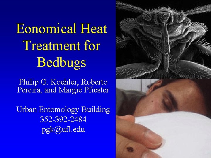 Eonomical Heat Treatment for Bedbugs Philip G. Koehler, Roberto Pereira, and Margie Pfiester Urban