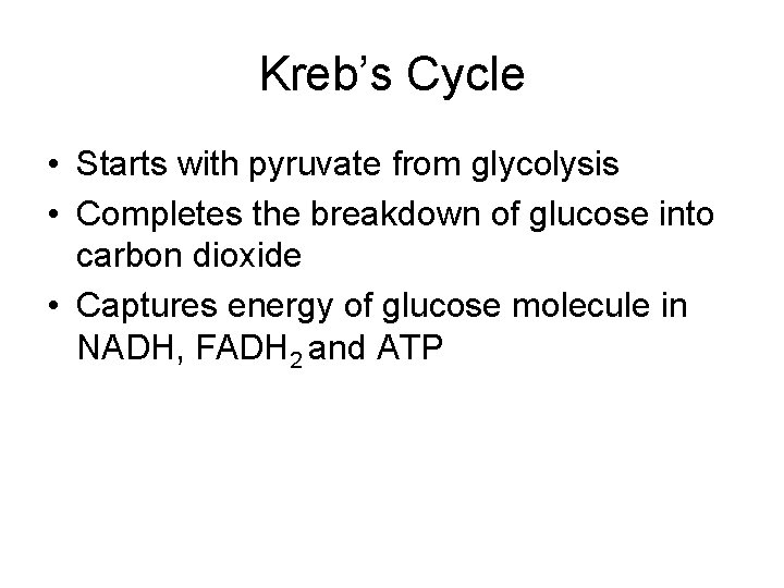 Kreb’s Cycle • Starts with pyruvate from glycolysis • Completes the breakdown of glucose